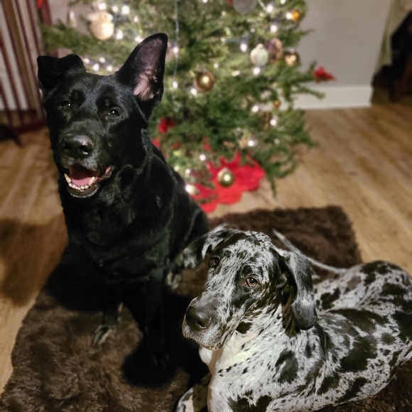 Meet your Posher, Scotti Leigh - Picture 2 of 8